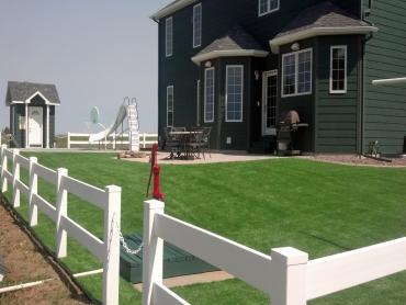 Artificial Grass Photos: Synthetic Pet Grass El Monte California Back and Front Yard